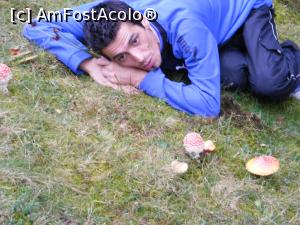 [P28] Ma uit cu atentie, poate ma ajuta la ceva!  » foto by liviu49
 - 
<span class="allrVoted glyphicon glyphicon-heart hidden" id="av926786"></span>
<a class="m-l-10 hidden" id="sv926786" onclick="voting_Foto_DelVot(,926786,5116)" role="button">șterge vot <span class="glyphicon glyphicon-remove"></span></a>
<a id="v9926786" class=" c-red"  onclick="voting_Foto_SetVot(926786)" role="button"><span class="glyphicon glyphicon-heart-empty"></span> <b>LIKE</b> = Votează poza</a> <img class="hidden"  id="f926786W9" src="/imagini/loader.gif" border="0" /><span class="AjErrMes hidden" id="e926786ErM"></span>