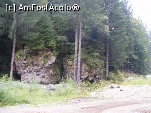 [P04] Chiar daca drumul era cum era, padurea de brad merita atentia noastra.  » foto by liviu49
 - 
<span class="allrVoted glyphicon glyphicon-heart hidden" id="av926762"></span>
<a class="m-l-10 hidden" id="sv926762" onclick="voting_Foto_DelVot(,926762,5116)" role="button">șterge vot <span class="glyphicon glyphicon-remove"></span></a>
<a id="v9926762" class=" c-red"  onclick="voting_Foto_SetVot(926762)" role="button"><span class="glyphicon glyphicon-heart-empty"></span> <b>LIKE</b> = Votează poza</a> <img class="hidden"  id="f926762W9" src="/imagini/loader.gif" border="0" /><span class="AjErrMes hidden" id="e926762ErM"></span>