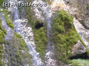 [P06] Tot la cascada » foto by liviu49
 - 
<span class="allrVoted glyphicon glyphicon-heart hidden" id="av926764"></span>
<a class="m-l-10 hidden" id="sv926764" onclick="voting_Foto_DelVot(,926764,5116)" role="button">șterge vot <span class="glyphicon glyphicon-remove"></span></a>
<a id="v9926764" class=" c-red"  onclick="voting_Foto_SetVot(926764)" role="button"><span class="glyphicon glyphicon-heart-empty"></span> <b>LIKE</b> = Votează poza</a> <img class="hidden"  id="f926764W9" src="/imagini/loader.gif" border="0" /><span class="AjErrMes hidden" id="e926764ErM"></span>