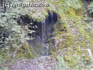 [P07] Apa, scurgandu-se prin verdeata.  » foto by liviu49
 - 
<span class="allrVoted glyphicon glyphicon-heart hidden" id="av926765"></span>
<a class="m-l-10 hidden" id="sv926765" onclick="voting_Foto_DelVot(,926765,5116)" role="button">șterge vot <span class="glyphicon glyphicon-remove"></span></a>
<a id="v9926765" class=" c-red"  onclick="voting_Foto_SetVot(926765)" role="button"><span class="glyphicon glyphicon-heart-empty"></span> <b>LIKE</b> = Votează poza</a> <img class="hidden"  id="f926765W9" src="/imagini/loader.gif" border="0" /><span class="AjErrMes hidden" id="e926765ErM"></span>