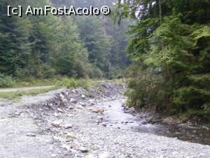 [P09] Raule, ce curgi la vale... <p> Prin padure, pe la poale.  » foto by liviu49
 - 
<span class="allrVoted glyphicon glyphicon-heart hidden" id="av926767"></span>
<a class="m-l-10 hidden" id="sv926767" onclick="voting_Foto_DelVot(,926767,5116)" role="button">șterge vot <span class="glyphicon glyphicon-remove"></span></a>
<a id="v9926767" class=" c-red"  onclick="voting_Foto_SetVot(926767)" role="button"><span class="glyphicon glyphicon-heart-empty"></span> <b>LIKE</b> = Votează poza</a> <img class="hidden"  id="f926767W9" src="/imagini/loader.gif" border="0" /><span class="AjErrMes hidden" id="e926767ErM"></span>