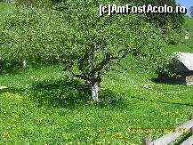 [P27]  -- <small>// FĂRĂ DESCRIERE</small> » foto by adryana
 - 
<span class="allrVoted glyphicon glyphicon-heart hidden" id="av332790"></span>
<a class="m-l-10 hidden" id="sv332790" onclick="voting_Foto_DelVot(,332790,5116)" role="button">șterge vot <span class="glyphicon glyphicon-remove"></span></a>
<a id="v9332790" class=" c-red"  onclick="voting_Foto_SetVot(332790)" role="button"><span class="glyphicon glyphicon-heart-empty"></span> <b>LIKE</b> = Votează poza</a> <img class="hidden"  id="f332790W9" src="/imagini/loader.gif" border="0" /><span class="AjErrMes hidden" id="e332790ErM"></span>