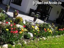 [P43] flori la pensiunea Arnica » foto by adryana
 - 
<span class="allrVoted glyphicon glyphicon-heart hidden" id="av332821"></span>
<a class="m-l-10 hidden" id="sv332821" onclick="voting_Foto_DelVot(,332821,5116)" role="button">șterge vot <span class="glyphicon glyphicon-remove"></span></a>
<a id="v9332821" class=" c-red"  onclick="voting_Foto_SetVot(332821)" role="button"><span class="glyphicon glyphicon-heart-empty"></span> <b>LIKE</b> = Votează poza</a> <img class="hidden"  id="f332821W9" src="/imagini/loader.gif" border="0" /><span class="AjErrMes hidden" id="e332821ErM"></span>
