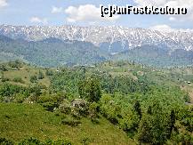 [P02] Culoarul Rucăr-Bran : priveliște spre Masivul Piatra Craiului » foto by mariana.olaru
 - 
<span class="allrVoted glyphicon glyphicon-heart hidden" id="av194231"></span>
<a class="m-l-10 hidden" id="sv194231" onclick="voting_Foto_DelVot(,194231,5116)" role="button">șterge vot <span class="glyphicon glyphicon-remove"></span></a>
<a id="v9194231" class=" c-red"  onclick="voting_Foto_SetVot(194231)" role="button"><span class="glyphicon glyphicon-heart-empty"></span> <b>LIKE</b> = Votează poza</a> <img class="hidden"  id="f194231W9" src="/imagini/loader.gif" border="0" /><span class="AjErrMes hidden" id="e194231ErM"></span>
