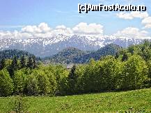 [P05] Culoarul Rucăr-Bran :privind spre răsărit de pe DN73 zărim Masivul Bucegi » foto by mariana.olaru
 - 
<span class="allrVoted glyphicon glyphicon-heart hidden" id="av194234"></span>
<a class="m-l-10 hidden" id="sv194234" onclick="voting_Foto_DelVot(,194234,5116)" role="button">șterge vot <span class="glyphicon glyphicon-remove"></span></a>
<a id="v9194234" class=" c-red"  onclick="voting_Foto_SetVot(194234)" role="button"><span class="glyphicon glyphicon-heart-empty"></span> <b>LIKE</b> = Votează poza</a> <img class="hidden"  id="f194234W9" src="/imagini/loader.gif" border="0" /><span class="AjErrMes hidden" id="e194234ErM"></span>