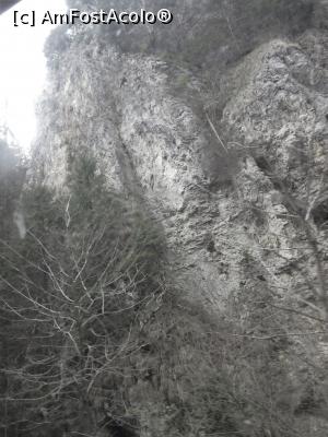 [P08] Cheile Grădiştei » foto by Michi
 - 
<span class="allrVoted glyphicon glyphicon-heart hidden" id="av1223942"></span>
<a class="m-l-10 hidden" id="sv1223942" onclick="voting_Foto_DelVot(,1223942,5116)" role="button">șterge vot <span class="glyphicon glyphicon-remove"></span></a>
<a id="v91223942" class=" c-red"  onclick="voting_Foto_SetVot(1223942)" role="button"><span class="glyphicon glyphicon-heart-empty"></span> <b>LIKE</b> = Votează poza</a> <img class="hidden"  id="f1223942W9" src="/imagini/loader.gif" border="0" /><span class="AjErrMes hidden" id="e1223942ErM"></span>