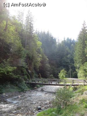 [P07] Pod acces către cascada „La Chișătoare”.  » foto by tata123 🔱
 - 
<span class="allrVoted glyphicon glyphicon-heart hidden" id="av797144"></span>
<a class="m-l-10 hidden" id="sv797144" onclick="voting_Foto_DelVot(,797144,5116)" role="button">șterge vot <span class="glyphicon glyphicon-remove"></span></a>
<a id="v9797144" class=" c-red"  onclick="voting_Foto_SetVot(797144)" role="button"><span class="glyphicon glyphicon-heart-empty"></span> <b>LIKE</b> = Votează poza</a> <img class="hidden"  id="f797144W9" src="/imagini/loader.gif" border="0" /><span class="AjErrMes hidden" id="e797144ErM"></span>