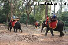 [P07] unii veneau pe elefant- dupa ce am vazut cum ii zgudura - am hotarat sa ramanem la tuc-tuc :-) » foto by Pami*
 - 
<span class="allrVoted glyphicon glyphicon-heart hidden" id="av299403"></span>
<a class="m-l-10 hidden" id="sv299403" onclick="voting_Foto_DelVot(,299403,5123)" role="button">șterge vot <span class="glyphicon glyphicon-remove"></span></a>
<a id="v9299403" class=" c-red"  onclick="voting_Foto_SetVot(299403)" role="button"><span class="glyphicon glyphicon-heart-empty"></span> <b>LIKE</b> = Votează poza</a> <img class="hidden"  id="f299403W9" src="/imagini/loader.gif" border="0" /><span class="AjErrMes hidden" id="e299403ErM"></span>