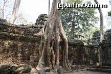 [P01] aici s-a filmat filmul Tomb raider cu Angelina Jolie » foto by Pami*
 - 
<span class="allrVoted glyphicon glyphicon-heart hidden" id="av299475"></span>
<a class="m-l-10 hidden" id="sv299475" onclick="voting_Foto_DelVot(,299475,5123)" role="button">șterge vot <span class="glyphicon glyphicon-remove"></span></a>
<a id="v9299475" class=" c-red"  onclick="voting_Foto_SetVot(299475)" role="button"><span class="glyphicon glyphicon-heart-empty"></span> <b>LIKE</b> = Votează poza</a> <img class="hidden"  id="f299475W9" src="/imagini/loader.gif" border="0" /><span class="AjErrMes hidden" id="e299475ErM"></span>