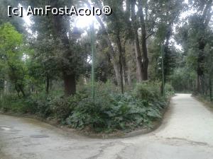 [P49] Vila Floridiana.  » foto by Aurici
 - 
<span class="allrVoted glyphicon glyphicon-heart hidden" id="av875162"></span>
<a class="m-l-10 hidden" id="sv875162" onclick="voting_Foto_DelVot(,875162,5128)" role="button">șterge vot <span class="glyphicon glyphicon-remove"></span></a>
<a id="v9875162" class=" c-red"  onclick="voting_Foto_SetVot(875162)" role="button"><span class="glyphicon glyphicon-heart-empty"></span> <b>LIKE</b> = Votează poza</a> <img class="hidden"  id="f875162W9" src="/imagini/loader.gif" border="0" /><span class="AjErrMes hidden" id="e875162ErM"></span>