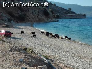 [P11] In drum spre Astakos » foto by dana2104
 - 
<span class="allrVoted glyphicon glyphicon-heart hidden" id="av918272"></span>
<a class="m-l-10 hidden" id="sv918272" onclick="voting_Foto_DelVot(,918272,5137)" role="button">șterge vot <span class="glyphicon glyphicon-remove"></span></a>
<a id="v9918272" class=" c-red"  onclick="voting_Foto_SetVot(918272)" role="button"><span class="glyphicon glyphicon-heart-empty"></span> <b>LIKE</b> = Votează poza</a> <img class="hidden"  id="f918272W9" src="/imagini/loader.gif" border="0" /><span class="AjErrMes hidden" id="e918272ErM"></span>