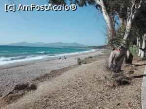 [P07] paralia Dasos » foto by dana2104
 - 
<span class="allrVoted glyphicon glyphicon-heart hidden" id="av918268"></span>
<a class="m-l-10 hidden" id="sv918268" onclick="voting_Foto_DelVot(,918268,5137)" role="button">șterge vot <span class="glyphicon glyphicon-remove"></span></a>
<a id="v9918268" class=" c-red"  onclick="voting_Foto_SetVot(918268)" role="button"><span class="glyphicon glyphicon-heart-empty"></span> <b>LIKE</b> = Votează poza</a> <img class="hidden"  id="f918268W9" src="/imagini/loader.gif" border="0" /><span class="AjErrMes hidden" id="e918268ErM"></span>