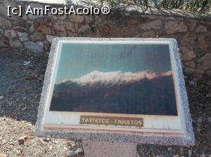 [P24] suntem la inaltime!!!  » foto by dana2104
 - 
<span class="allrVoted glyphicon glyphicon-heart hidden" id="av918372"></span>
<a class="m-l-10 hidden" id="sv918372" onclick="voting_Foto_DelVot(,918372,5137)" role="button">șterge vot <span class="glyphicon glyphicon-remove"></span></a>
<a id="v9918372" class=" c-red"  onclick="voting_Foto_SetVot(918372)" role="button"><span class="glyphicon glyphicon-heart-empty"></span> <b>LIKE</b> = Votează poza</a> <img class="hidden"  id="f918372W9" src="/imagini/loader.gif" border="0" /><span class="AjErrMes hidden" id="e918372ErM"></span>