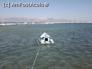 [P57] ..... . si casuta lor.  » foto by dana2104
 - 
<span class="allrVoted glyphicon glyphicon-heart hidden" id="av918405"></span>
<a class="m-l-10 hidden" id="sv918405" onclick="voting_Foto_DelVot(,918405,5137)" role="button">șterge vot <span class="glyphicon glyphicon-remove"></span></a>
<a id="v9918405" class=" c-red"  onclick="voting_Foto_SetVot(918405)" role="button"><span class="glyphicon glyphicon-heart-empty"></span> <b>LIKE</b> = Votează poza</a> <img class="hidden"  id="f918405W9" src="/imagini/loader.gif" border="0" /><span class="AjErrMes hidden" id="e918405ErM"></span>