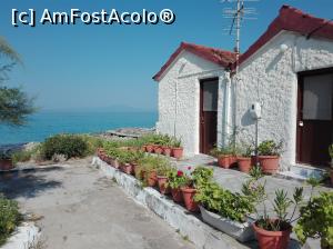 [P06] Kalogria » foto by dana2104
 - 
<span class="allrVoted glyphicon glyphicon-heart hidden" id="av918354"></span>
<a class="m-l-10 hidden" id="sv918354" onclick="voting_Foto_DelVot(,918354,5137)" role="button">șterge vot <span class="glyphicon glyphicon-remove"></span></a>
<a id="v9918354" class=" c-red"  onclick="voting_Foto_SetVot(918354)" role="button"><span class="glyphicon glyphicon-heart-empty"></span> <b>LIKE</b> = Votează poza</a> <img class="hidden"  id="f918354W9" src="/imagini/loader.gif" border="0" /><span class="AjErrMes hidden" id="e918354ErM"></span>