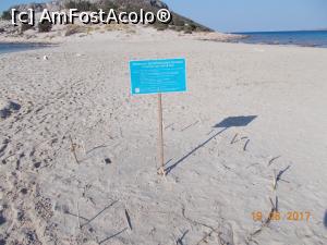 [P64] Elafonisos- nu e o chestie de marketing! Broastele au ajuns pana aici, am vazut una in port.  » foto by dana2104
 - 
<span class="allrVoted glyphicon glyphicon-heart hidden" id="av918451"></span>
<a class="m-l-10 hidden" id="sv918451" onclick="voting_Foto_DelVot(,918451,5137)" role="button">șterge vot <span class="glyphicon glyphicon-remove"></span></a>
<a id="v9918451" class=" c-red"  onclick="voting_Foto_SetVot(918451)" role="button"><span class="glyphicon glyphicon-heart-empty"></span> <b>LIKE</b> = Votează poza</a> <img class="hidden"  id="f918451W9" src="/imagini/loader.gif" border="0" /><span class="AjErrMes hidden" id="e918451ErM"></span>