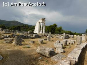 [P19] Hestiatrion complex » foto by extracrisina
 - 
<span class="allrVoted glyphicon glyphicon-heart hidden" id="av921163"></span>
<a class="m-l-10 hidden" id="sv921163" onclick="voting_Foto_DelVot(,921163,5137)" role="button">șterge vot <span class="glyphicon glyphicon-remove"></span></a>
<a id="v9921163" class=" c-red"  onclick="voting_Foto_SetVot(921163)" role="button"><span class="glyphicon glyphicon-heart-empty"></span> <b>LIKE</b> = Votează poza</a> <img class="hidden"  id="f921163W9" src="/imagini/loader.gif" border="0" /><span class="AjErrMes hidden" id="e921163ErM"></span>