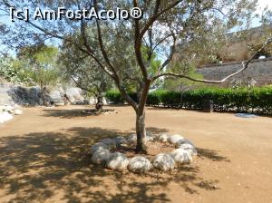 [P33] Nafplio giulele decorative » foto by extracrisina
 - 
<span class="allrVoted glyphicon glyphicon-heart hidden" id="av926192"></span>
<a class="m-l-10 hidden" id="sv926192" onclick="voting_Foto_DelVot(,926192,5137)" role="button">șterge vot <span class="glyphicon glyphicon-remove"></span></a>
<a id="v9926192" class=" c-red"  onclick="voting_Foto_SetVot(926192)" role="button"><span class="glyphicon glyphicon-heart-empty"></span> <b>LIKE</b> = Votează poza</a> <img class="hidden"  id="f926192W9" src="/imagini/loader.gif" border="0" /><span class="AjErrMes hidden" id="e926192ErM"></span>