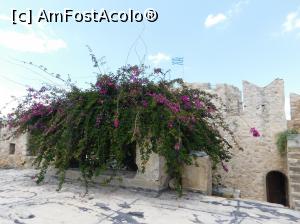 [P36] Nafplio si in fortareata infloresc flori minunate » foto by extracrisina
 - 
<span class="allrVoted glyphicon glyphicon-heart hidden" id="av926195"></span>
<a class="m-l-10 hidden" id="sv926195" onclick="voting_Foto_DelVot(,926195,5137)" role="button">șterge vot <span class="glyphicon glyphicon-remove"></span></a>
<a id="v9926195" class=" c-red"  onclick="voting_Foto_SetVot(926195)" role="button"><span class="glyphicon glyphicon-heart-empty"></span> <b>LIKE</b> = Votează poza</a> <img class="hidden"  id="f926195W9" src="/imagini/loader.gif" border="0" /><span class="AjErrMes hidden" id="e926195ErM"></span>