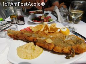 [P46] Dupa atata hoinareala o binemeritata pauza de masa » foto by extracrisina
 - 
<span class="allrVoted glyphicon glyphicon-heart hidden" id="av926205"></span>
<a class="m-l-10 hidden" id="sv926205" onclick="voting_Foto_DelVot(,926205,5137)" role="button">șterge vot <span class="glyphicon glyphicon-remove"></span></a>
<a id="v9926205" class=" c-red"  onclick="voting_Foto_SetVot(926205)" role="button"><span class="glyphicon glyphicon-heart-empty"></span> <b>LIKE</b> = Votează poza</a> <img class="hidden"  id="f926205W9" src="/imagini/loader.gif" border="0" /><span class="AjErrMes hidden" id="e926205ErM"></span>