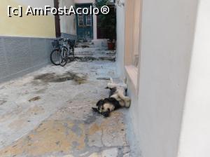 [P47] toata lumea este obosita, mai ales el » foto by extracrisina
 - 
<span class="allrVoted glyphicon glyphicon-heart hidden" id="av926206"></span>
<a class="m-l-10 hidden" id="sv926206" onclick="voting_Foto_DelVot(,926206,5137)" role="button">șterge vot <span class="glyphicon glyphicon-remove"></span></a>
<a id="v9926206" class=" c-red"  onclick="voting_Foto_SetVot(926206)" role="button"><span class="glyphicon glyphicon-heart-empty"></span> <b>LIKE</b> = Votează poza</a> <img class="hidden"  id="f926206W9" src="/imagini/loader.gif" border="0" /><span class="AjErrMes hidden" id="e926206ErM"></span>