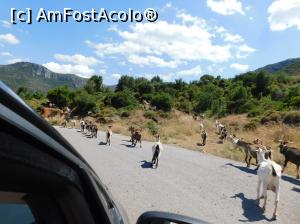 [P51] Tovarasi de drum » foto by extracrisina
 - 
<span class="allrVoted glyphicon glyphicon-heart hidden" id="av926210"></span>
<a class="m-l-10 hidden" id="sv926210" onclick="voting_Foto_DelVot(,926210,5137)" role="button">șterge vot <span class="glyphicon glyphicon-remove"></span></a>
<a id="v9926210" class=" c-red"  onclick="voting_Foto_SetVot(926210)" role="button"><span class="glyphicon glyphicon-heart-empty"></span> <b>LIKE</b> = Votează poza</a> <img class="hidden"  id="f926210W9" src="/imagini/loader.gif" border="0" /><span class="AjErrMes hidden" id="e926210ErM"></span>