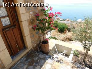 [P66] Monemvasia delicate » foto by extracrisina
 - 
<span class="allrVoted glyphicon glyphicon-heart hidden" id="av928190"></span>
<a class="m-l-10 hidden" id="sv928190" onclick="voting_Foto_DelVot(,928190,5137)" role="button">șterge vot <span class="glyphicon glyphicon-remove"></span></a>
<a id="v9928190" class=" c-red"  onclick="voting_Foto_SetVot(928190)" role="button"><span class="glyphicon glyphicon-heart-empty"></span> <b>LIKE</b> = Votează poza</a> <img class="hidden"  id="f928190W9" src="/imagini/loader.gif" border="0" /><span class="AjErrMes hidden" id="e928190ErM"></span>