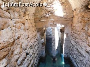 [P07] Acrocorint, rezerva de apa » foto by extracrisina
 - 
<span class="allrVoted glyphicon glyphicon-heart hidden" id="av921151"></span>
<a class="m-l-10 hidden" id="sv921151" onclick="voting_Foto_DelVot(,921151,5137)" role="button">șterge vot <span class="glyphicon glyphicon-remove"></span></a>
<a id="v9921151" class=" c-red"  onclick="voting_Foto_SetVot(921151)" role="button"><span class="glyphicon glyphicon-heart-empty"></span> <b>LIKE</b> = Votează poza</a> <img class="hidden"  id="f921151W9" src="/imagini/loader.gif" border="0" /><span class="AjErrMes hidden" id="e921151ErM"></span>