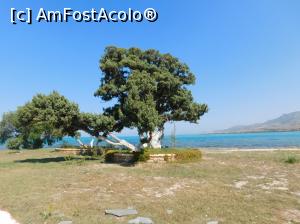 [P77] Elafonisos peisaj » foto by extracrisina
 - 
<span class="allrVoted glyphicon glyphicon-heart hidden" id="av928201"></span>
<a class="m-l-10 hidden" id="sv928201" onclick="voting_Foto_DelVot(,928201,5137)" role="button">șterge vot <span class="glyphicon glyphicon-remove"></span></a>
<a id="v9928201" class=" c-red"  onclick="voting_Foto_SetVot(928201)" role="button"><span class="glyphicon glyphicon-heart-empty"></span> <b>LIKE</b> = Votează poza</a> <img class="hidden"  id="f928201W9" src="/imagini/loader.gif" border="0" /><span class="AjErrMes hidden" id="e928201ErM"></span>