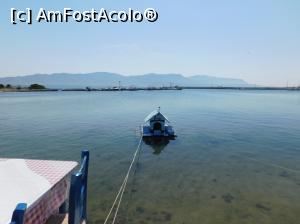 [P79] Elafonisos pe langa parcare speciala avem si casuta ratelor sau gastelor » foto by extracrisina
 - 
<span class="allrVoted glyphicon glyphicon-heart hidden" id="av928203"></span>
<a class="m-l-10 hidden" id="sv928203" onclick="voting_Foto_DelVot(,928203,5137)" role="button">șterge vot <span class="glyphicon glyphicon-remove"></span></a>
<a id="v9928203" class=" c-red"  onclick="voting_Foto_SetVot(928203)" role="button"><span class="glyphicon glyphicon-heart-empty"></span> <b>LIKE</b> = Votează poza</a> <img class="hidden"  id="f928203W9" src="/imagini/loader.gif" border="0" /><span class="AjErrMes hidden" id="e928203ErM"></span>