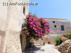 [P92] Monemvasia prin cetate » foto by extracrisina
 - 
<span class="allrVoted glyphicon glyphicon-heart hidden" id="av928216"></span>
<a class="m-l-10 hidden" id="sv928216" onclick="voting_Foto_DelVot(,928216,5137)" role="button">șterge vot <span class="glyphicon glyphicon-remove"></span></a>
<a id="v9928216" class=" c-red"  onclick="voting_Foto_SetVot(928216)" role="button"><span class="glyphicon glyphicon-heart-empty"></span> <b>LIKE</b> = Votează poza</a> <img class="hidden"  id="f928216W9" src="/imagini/loader.gif" border="0" /><span class="AjErrMes hidden" id="e928216ErM"></span>