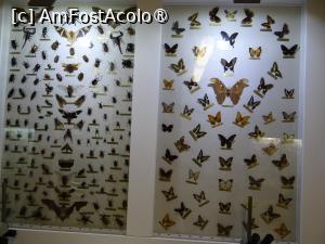 [P15]  -- <small>// FĂRĂ DESCRIERE</small> » foto by baby eyes
 - 
<span class="allrVoted glyphicon glyphicon-heart hidden" id="av1412811"></span>
<a class="m-l-10 hidden" id="sv1412811" onclick="voting_Foto_DelVot(,1412811,5137)" role="button">șterge vot <span class="glyphicon glyphicon-remove"></span></a>
<a id="v91412811" class=" c-red"  onclick="voting_Foto_SetVot(1412811)" role="button"><span class="glyphicon glyphicon-heart-empty"></span> <b>LIKE</b> = Votează poza</a> <img class="hidden"  id="f1412811W9" src="/imagini/loader.gif" border="0" /><span class="AjErrMes hidden" id="e1412811ErM"></span>