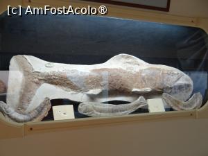 [P22]  -- <small>// FĂRĂ DESCRIERE</small> » foto by baby eyes
 - 
<span class="allrVoted glyphicon glyphicon-heart hidden" id="av1412818"></span>
<a class="m-l-10 hidden" id="sv1412818" onclick="voting_Foto_DelVot(,1412818,5137)" role="button">șterge vot <span class="glyphicon glyphicon-remove"></span></a>
<a id="v91412818" class=" c-red"  onclick="voting_Foto_SetVot(1412818)" role="button"><span class="glyphicon glyphicon-heart-empty"></span> <b>LIKE</b> = Votează poza</a> <img class="hidden"  id="f1412818W9" src="/imagini/loader.gif" border="0" /><span class="AjErrMes hidden" id="e1412818ErM"></span>