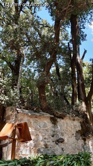 [P16] Biserica Agia Theodora » foto by Carmen Ion
 - 
<span class="allrVoted glyphicon glyphicon-heart hidden" id="av1265330"></span>
<a class="m-l-10 hidden" id="sv1265330" onclick="voting_Foto_DelVot(,1265330,5137)" role="button">șterge vot <span class="glyphicon glyphicon-remove"></span></a>
<a id="v91265330" class=" c-red"  onclick="voting_Foto_SetVot(1265330)" role="button"><span class="glyphicon glyphicon-heart-empty"></span> <b>LIKE</b> = Votează poza</a> <img class="hidden"  id="f1265330W9" src="/imagini/loader.gif" border="0" /><span class="AjErrMes hidden" id="e1265330ErM"></span>