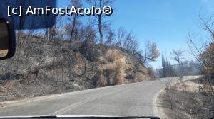 [P24] Păduri arse, la cca. 20 km de Olympia » foto by Carmen Ion
 - 
<span class="allrVoted glyphicon glyphicon-heart hidden" id="av1265338"></span>
<a class="m-l-10 hidden" id="sv1265338" onclick="voting_Foto_DelVot(,1265338,5137)" role="button">șterge vot <span class="glyphicon glyphicon-remove"></span></a>
<a id="v91265338" class=" c-red"  onclick="voting_Foto_SetVot(1265338)" role="button"><span class="glyphicon glyphicon-heart-empty"></span> <b>LIKE</b> = Votează poza</a> <img class="hidden"  id="f1265338W9" src="/imagini/loader.gif" border="0" /><span class="AjErrMes hidden" id="e1265338ErM"></span>