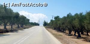 [P25] Nesfârșitele livezi de măslini... » foto by Carmen Ion
 - 
<span class="allrVoted glyphicon glyphicon-heart hidden" id="av1265339"></span>
<a class="m-l-10 hidden" id="sv1265339" onclick="voting_Foto_DelVot(,1265339,5137)" role="button">șterge vot <span class="glyphicon glyphicon-remove"></span></a>
<a id="v91265339" class=" c-red"  onclick="voting_Foto_SetVot(1265339)" role="button"><span class="glyphicon glyphicon-heart-empty"></span> <b>LIKE</b> = Votează poza</a> <img class="hidden"  id="f1265339W9" src="/imagini/loader.gif" border="0" /><span class="AjErrMes hidden" id="e1265339ErM"></span>