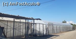 [P28] Agricultura, principala ocupație a peloponezienilor » foto by Carmen Ion
 - 
<span class="allrVoted glyphicon glyphicon-heart hidden" id="av1265342"></span>
<a class="m-l-10 hidden" id="sv1265342" onclick="voting_Foto_DelVot(,1265342,5137)" role="button">șterge vot <span class="glyphicon glyphicon-remove"></span></a>
<a id="v91265342" class=" c-red"  onclick="voting_Foto_SetVot(1265342)" role="button"><span class="glyphicon glyphicon-heart-empty"></span> <b>LIKE</b> = Votează poza</a> <img class="hidden"  id="f1265342W9" src="/imagini/loader.gif" border="0" /><span class="AjErrMes hidden" id="e1265342ErM"></span>