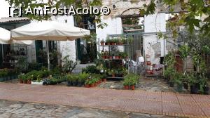 [P46] O florărie în Kalamata » foto by Carmen Ion
 - 
<span class="allrVoted glyphicon glyphicon-heart hidden" id="av1265360"></span>
<a class="m-l-10 hidden" id="sv1265360" onclick="voting_Foto_DelVot(,1265360,5137)" role="button">șterge vot <span class="glyphicon glyphicon-remove"></span></a>
<a id="v91265360" class=" c-red"  onclick="voting_Foto_SetVot(1265360)" role="button"><span class="glyphicon glyphicon-heart-empty"></span> <b>LIKE</b> = Votează poza</a> <img class="hidden"  id="f1265360W9" src="/imagini/loader.gif" border="0" /><span class="AjErrMes hidden" id="e1265360ErM"></span>