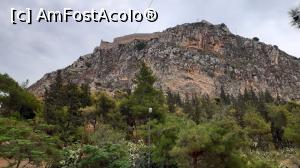 [P60] Nafplio: fortăreața Palamidi » foto by Carmen Ion
 - 
<span class="allrVoted glyphicon glyphicon-heart hidden" id="av1265374"></span>
<a class="m-l-10 hidden" id="sv1265374" onclick="voting_Foto_DelVot(,1265374,5137)" role="button">șterge vot <span class="glyphicon glyphicon-remove"></span></a>
<a id="v91265374" class=" c-red"  onclick="voting_Foto_SetVot(1265374)" role="button"><span class="glyphicon glyphicon-heart-empty"></span> <b>LIKE</b> = Votează poza</a> <img class="hidden"  id="f1265374W9" src="/imagini/loader.gif" border="0" /><span class="AjErrMes hidden" id="e1265374ErM"></span>