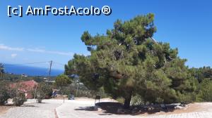 [P20] Superba panoramă de la castelul Chlemoutsi » foto by Carmen Ion
 - 
<span class="allrVoted glyphicon glyphicon-heart hidden" id="av1265524"></span>
<a class="m-l-10 hidden" id="sv1265524" onclick="voting_Foto_DelVot(,1265524,5137)" role="button">șterge vot <span class="glyphicon glyphicon-remove"></span></a>
<a id="v91265524" class=" c-red"  onclick="voting_Foto_SetVot(1265524)" role="button"><span class="glyphicon glyphicon-heart-empty"></span> <b>LIKE</b> = Votează poza</a> <img class="hidden"  id="f1265524W9" src="/imagini/loader.gif" border="0" /><span class="AjErrMes hidden" id="e1265524ErM"></span>