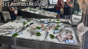 [P33] Pescăria din Zacharo » foto by Carmen Ion
 - 
<span class="allrVoted glyphicon glyphicon-heart hidden" id="av1265537"></span>
<a class="m-l-10 hidden" id="sv1265537" onclick="voting_Foto_DelVot(,1265537,5137)" role="button">șterge vot <span class="glyphicon glyphicon-remove"></span></a>
<a id="v91265537" class=" c-red"  onclick="voting_Foto_SetVot(1265537)" role="button"><span class="glyphicon glyphicon-heart-empty"></span> <b>LIKE</b> = Votează poza</a> <img class="hidden"  id="f1265537W9" src="/imagini/loader.gif" border="0" /><span class="AjErrMes hidden" id="e1265537ErM"></span>