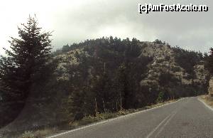 [P02] Munţii Parnonas - ce o fi fost în mintea mea?!!!  » foto by Carmen Ion
 - 
<span class="allrVoted glyphicon glyphicon-heart hidden" id="av688541"></span>
<a class="m-l-10 hidden" id="sv688541" onclick="voting_Foto_DelVot(,688541,5137)" role="button">șterge vot <span class="glyphicon glyphicon-remove"></span></a>
<a id="v9688541" class=" c-red"  onclick="voting_Foto_SetVot(688541)" role="button"><span class="glyphicon glyphicon-heart-empty"></span> <b>LIKE</b> = Votează poza</a> <img class="hidden"  id="f688541W9" src="/imagini/loader.gif" border="0" /><span class="AjErrMes hidden" id="e688541ErM"></span>