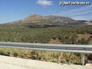 [P02] Drumul spre Epidaur: o vale plantată cu măslini, străjuită de dealuri cu pante domoale.  » foto by Carmen Ion
 - 
<span class="allrVoted glyphicon glyphicon-heart hidden" id="av689264"></span>
<a class="m-l-10 hidden" id="sv689264" onclick="voting_Foto_DelVot(,689264,5137)" role="button">șterge vot <span class="glyphicon glyphicon-remove"></span></a>
<a id="v9689264" class=" c-red"  onclick="voting_Foto_SetVot(689264)" role="button"><span class="glyphicon glyphicon-heart-empty"></span> <b>LIKE</b> = Votează poza</a> <img class="hidden"  id="f689264W9" src="/imagini/loader.gif" border="0" /><span class="AjErrMes hidden" id="e689264ErM"></span>