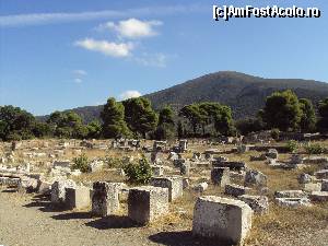 [P21] Asklepion - calea sacră.  » foto by Carmen Ion
 - 
<span class="allrVoted glyphicon glyphicon-heart hidden" id="av689283"></span>
<a class="m-l-10 hidden" id="sv689283" onclick="voting_Foto_DelVot(,689283,5137)" role="button">șterge vot <span class="glyphicon glyphicon-remove"></span></a>
<a id="v9689283" class=" c-red"  onclick="voting_Foto_SetVot(689283)" role="button"><span class="glyphicon glyphicon-heart-empty"></span> <b>LIKE</b> = Votează poza</a> <img class="hidden"  id="f689283W9" src="/imagini/loader.gif" border="0" /><span class="AjErrMes hidden" id="e689283ErM"></span>