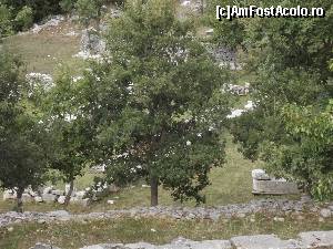 [P19] Din situl de la Vasses » foto by irinad
 - 
<span class="allrVoted glyphicon glyphicon-heart hidden" id="av687754"></span>
<a class="m-l-10 hidden" id="sv687754" onclick="voting_Foto_DelVot(,687754,5137)" role="button">șterge vot <span class="glyphicon glyphicon-remove"></span></a>
<a id="v9687754" class=" c-red"  onclick="voting_Foto_SetVot(687754)" role="button"><span class="glyphicon glyphicon-heart-empty"></span> <b>LIKE</b> = Votează poza</a> <img class="hidden"  id="f687754W9" src="/imagini/loader.gif" border="0" /><span class="AjErrMes hidden" id="e687754ErM"></span>