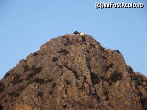 [P02] Ce-ar fi putut fi în vârf de munte, decât o bisericuţă?  » foto by irinad
 - 
<span class="allrVoted glyphicon glyphicon-heart hidden" id="av687737"></span>
<a class="m-l-10 hidden" id="sv687737" onclick="voting_Foto_DelVot(,687737,5137)" role="button">șterge vot <span class="glyphicon glyphicon-remove"></span></a>
<a id="v9687737" class=" c-red"  onclick="voting_Foto_SetVot(687737)" role="button"><span class="glyphicon glyphicon-heart-empty"></span> <b>LIKE</b> = Votează poza</a> <img class="hidden"  id="f687737W9" src="/imagini/loader.gif" border="0" /><span class="AjErrMes hidden" id="e687737ErM"></span>