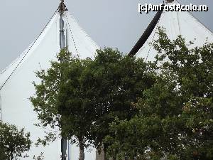 [P23] Cortul uriaş sub care se reconstruieşte Templul lui Apollo Epicurius » foto by irinad
 - 
<span class="allrVoted glyphicon glyphicon-heart hidden" id="av687758"></span>
<a class="m-l-10 hidden" id="sv687758" onclick="voting_Foto_DelVot(,687758,5137)" role="button">șterge vot <span class="glyphicon glyphicon-remove"></span></a>
<a id="v9687758" class=" c-red"  onclick="voting_Foto_SetVot(687758)" role="button"><span class="glyphicon glyphicon-heart-empty"></span> <b>LIKE</b> = Votează poza</a> <img class="hidden"  id="f687758W9" src="/imagini/loader.gif" border="0" /><span class="AjErrMes hidden" id="e687758ErM"></span>