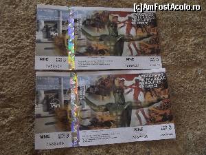 [P36] Biletele de intrare de la Vasses pe o piatră din sit » foto by irinad
 - 
<span class="allrVoted glyphicon glyphicon-heart hidden" id="av687783"></span>
<a class="m-l-10 hidden" id="sv687783" onclick="voting_Foto_DelVot(,687783,5137)" role="button">șterge vot <span class="glyphicon glyphicon-remove"></span></a>
<a id="v9687783" class=" c-red"  onclick="voting_Foto_SetVot(687783)" role="button"><span class="glyphicon glyphicon-heart-empty"></span> <b>LIKE</b> = Votează poza</a> <img class="hidden"  id="f687783W9" src="/imagini/loader.gif" border="0" /><span class="AjErrMes hidden" id="e687783ErM"></span>