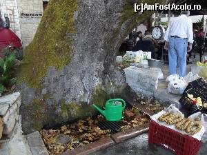 [P43] Curios cum această sursă de apă străpunge ditamai copacul în Andritsaina » foto by irinad
 - 
<span class="allrVoted glyphicon glyphicon-heart hidden" id="av687799"></span>
<a class="m-l-10 hidden" id="sv687799" onclick="voting_Foto_DelVot(,687799,5137)" role="button">șterge vot <span class="glyphicon glyphicon-remove"></span></a>
<a id="v9687799" class=" c-red"  onclick="voting_Foto_SetVot(687799)" role="button"><span class="glyphicon glyphicon-heart-empty"></span> <b>LIKE</b> = Votează poza</a> <img class="hidden"  id="f687799W9" src="/imagini/loader.gif" border="0" /><span class="AjErrMes hidden" id="e687799ErM"></span>