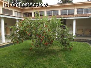 [P17] Curtea interioară a Muzeului de Arheologie din Nemea » foto by irinad
 - 
<span class="allrVoted glyphicon glyphicon-heart hidden" id="av718671"></span>
<a class="m-l-10 hidden" id="sv718671" onclick="voting_Foto_DelVot(,718671,5137)" role="button">șterge vot <span class="glyphicon glyphicon-remove"></span></a>
<a id="v9718671" class=" c-red"  onclick="voting_Foto_SetVot(718671)" role="button"><span class="glyphicon glyphicon-heart-empty"></span> <b>LIKE</b> = Votează poza</a> <img class="hidden"  id="f718671W9" src="/imagini/loader.gif" border="0" /><span class="AjErrMes hidden" id="e718671ErM"></span>